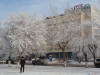 Павлодар 2009 - Иней
