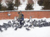 Павлодар 2009 - Среди голубей у Благовещенского собора