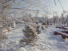 Павлодар 2009 - Набережная зимой